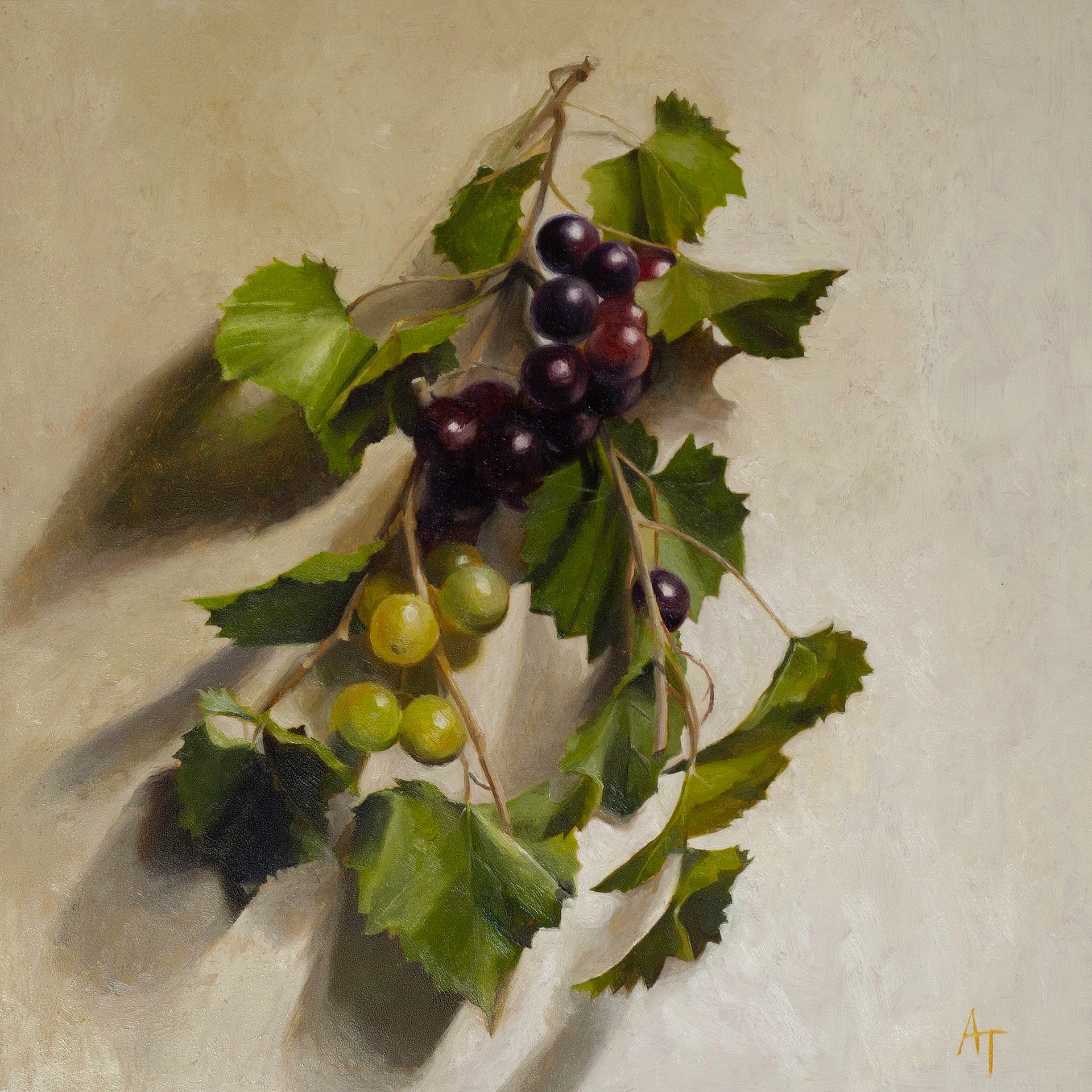 Grapes copy PNG.jpeg